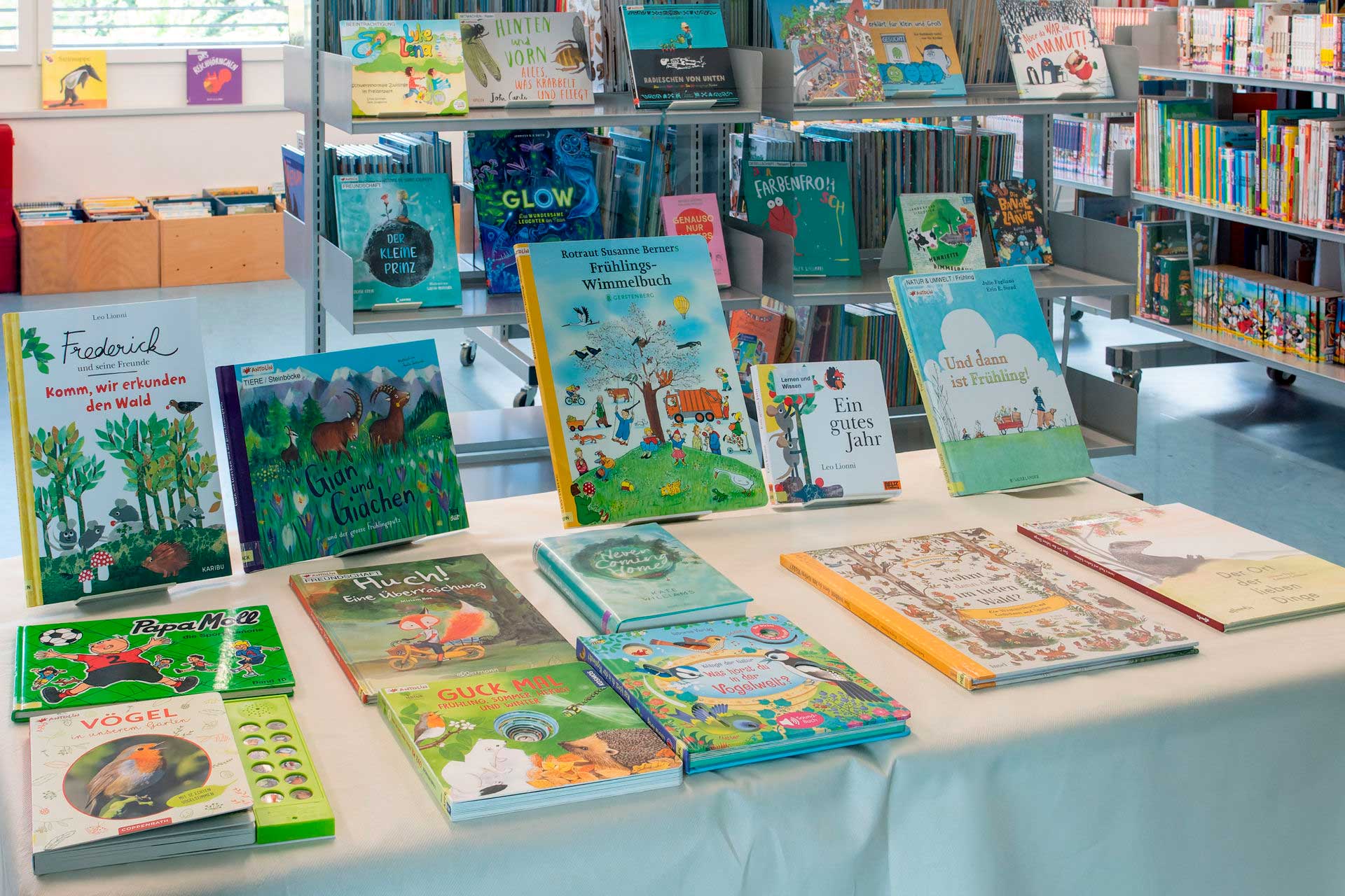 Abteilung-Wissen-2 Bibliothek mit vielen Bücher