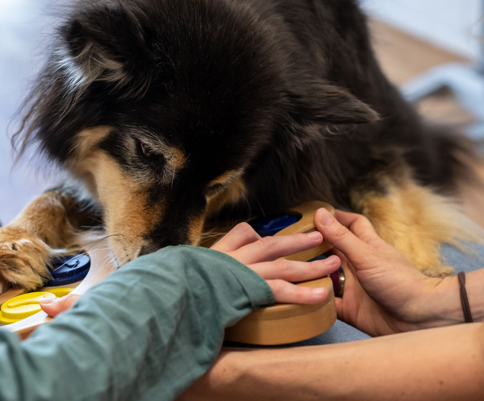 236 – E 038 20240604_102956_HMMRZ61_5088 Tiergestützte Therapie